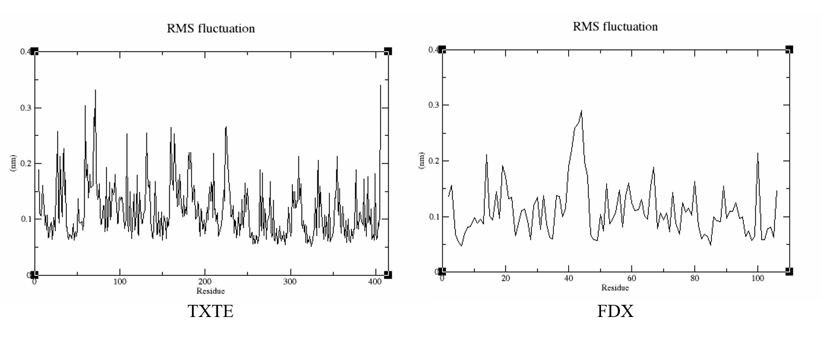 RMSF fluctuations of TxtE and Fdx protein residues